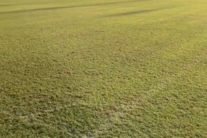 申花0-2落后神户！山川哲史头球破门，8分钟丢2球